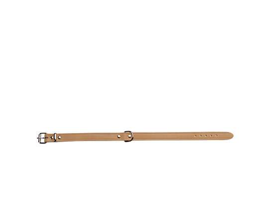 Hondenhalsband- Softleer - beige - met print