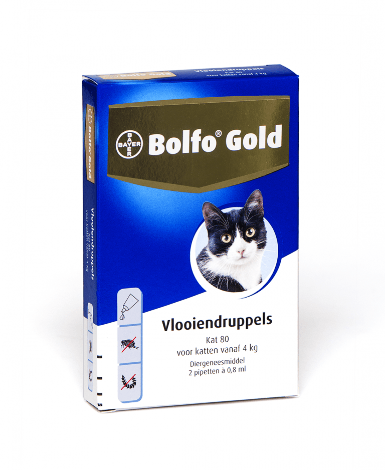 Bolfo Gold kat (2 pipet) vanaf 4 kilo