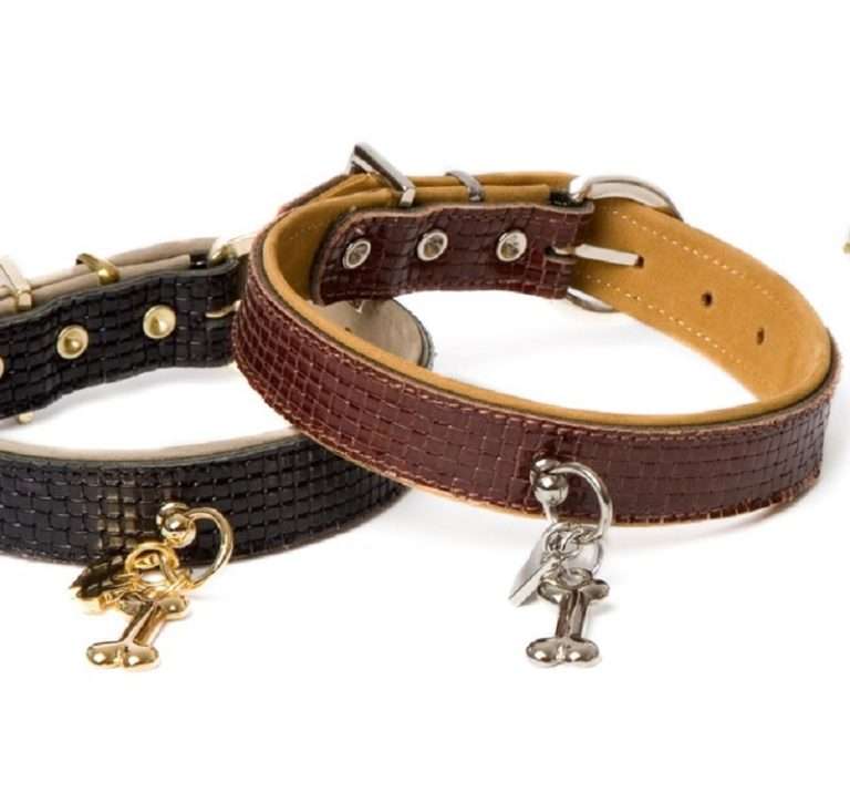 Braided Collar