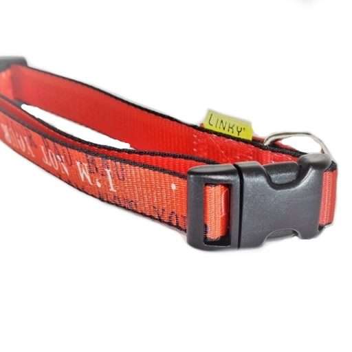 halsband hond