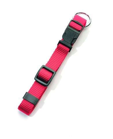 directory Isaac meten Hondenhalsband clicksluiting rood large-sportief basic - Animal King |  Animal King