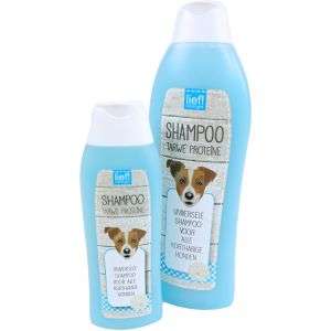 lief shampoo korthaar