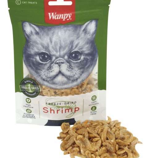 kattensnack