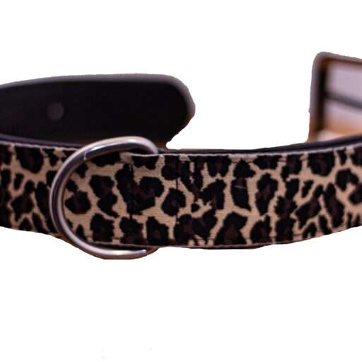 leren halsband hond