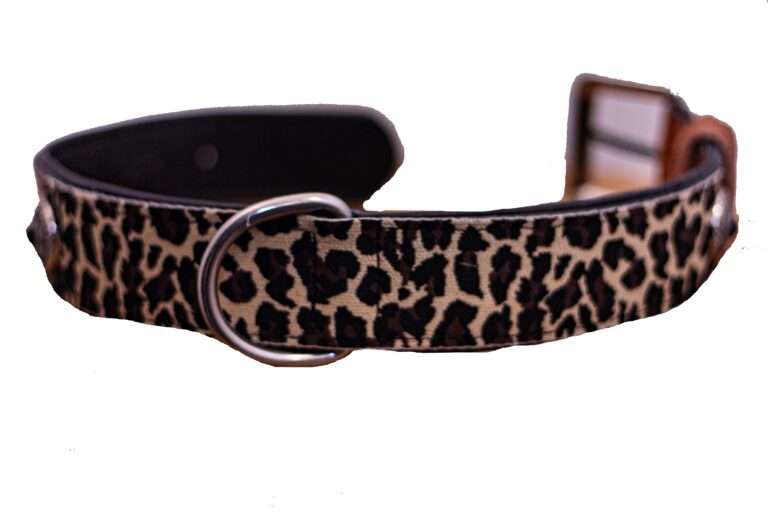 leren halsband hond