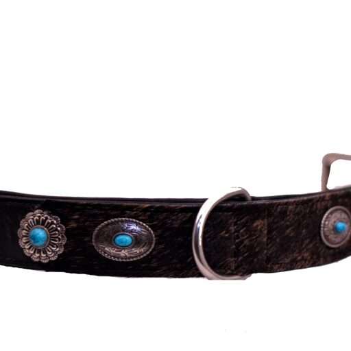leren halsband hond