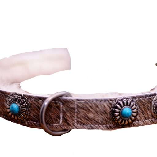 leren halsband hond