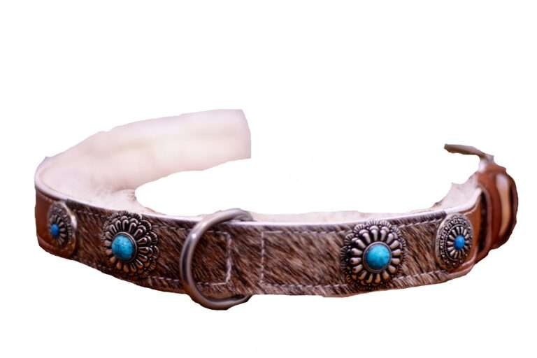 leren halsband hond