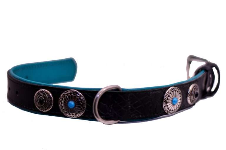 leren halsband hond