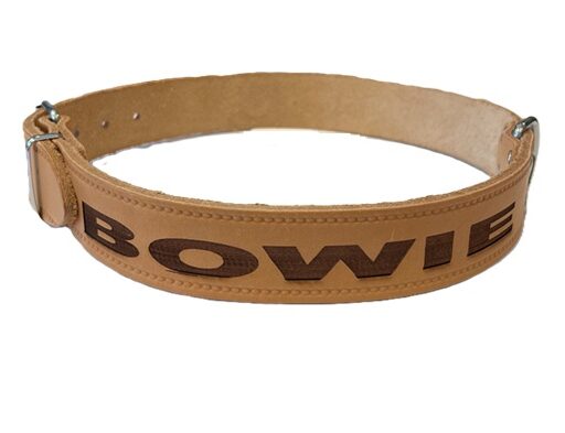Gepersonaliseerde naturel softleren hondenhalsband 18mmx45cm