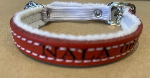 Gepersonaliseerde rode leren kattenhalsband