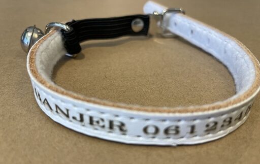 Gepersonaliseerde wit leren kattenhalsband